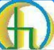 廣東九幕幕墻工程有限公司海南分公司